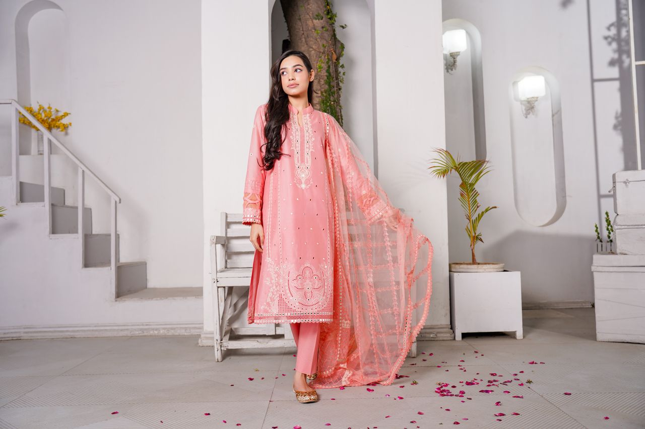 Crafting Captivating Headlines: Your awesome post title goes here A woman in traditional Pakistani attire poses elegantly indoors in Lahore.